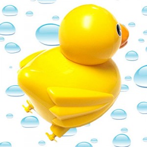 rc-duckie2